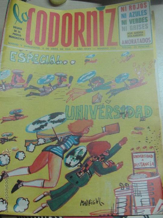 Coleccionismo de Revistas y Peri&oacute;dicos: REVISTA LA CODORNIZ N&ordm; 1724 6 DE ABRIL 1975 A&Ntilde;O 35