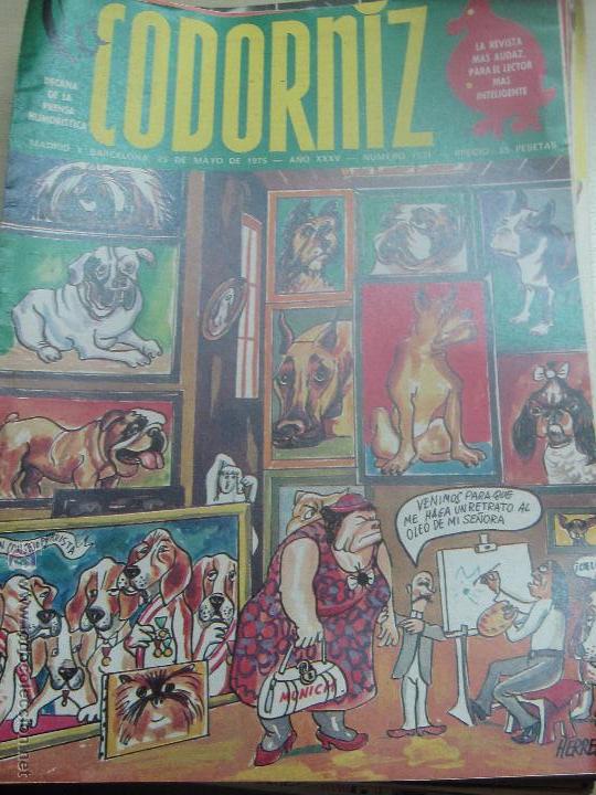 Coleccionismo de Revistas y Peri&oacute;dicos: REVISTA LA CODORNIZ N&ordm; 1731 25 DE MAYO  1975  A&Ntilde;O 35