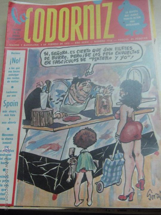 Coleccionismo de Revistas y Peri&oacute;dicos: REVISTA LA CODORNIZ N&ordm; 1716 9 DE FEBRERO DE 1975 A&Ntilde;O 34