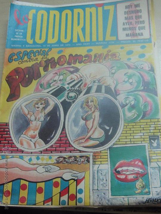 Coleccionismo de Revistas y Peri&oacute;dicos: REVISTA LA CODORNIZ N&ordm; 1734 15 DEJUNIO DE 1975 A&Ntilde;O 34