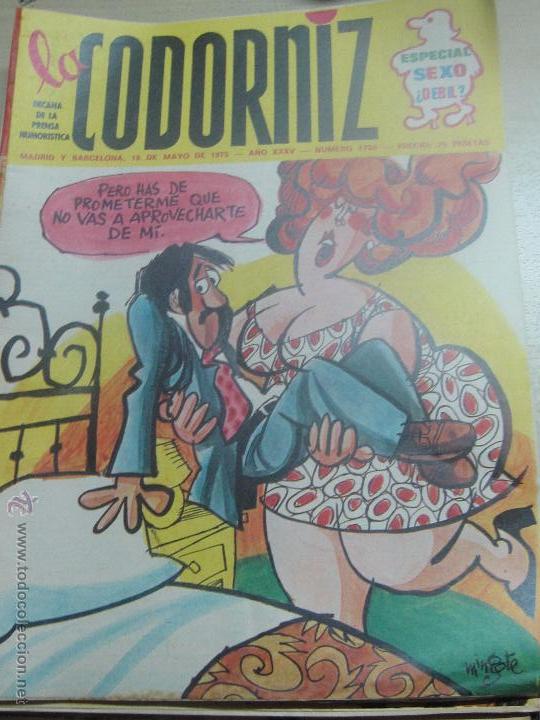 Coleccionismo de Revistas y Peri&oacute;dicos: REVISTA LA CODORNIZ N&ordm; 1730 18 DE MAYO 1975 A&Ntilde;O 35