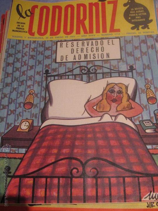 Coleccionismo de Revistas y Peri&oacute;dicos: REVISTA LA CODORNIZ   N&ordm; 1714 26 DE ENERO 1975 A&Ntilde;O 35