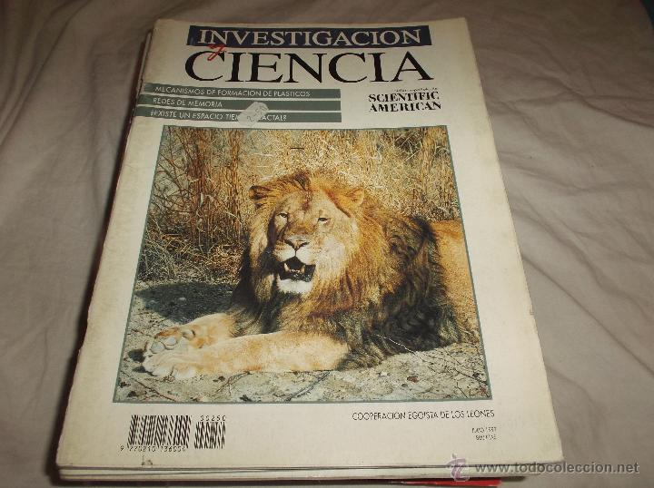 Sammeln von Zeitschriften und Zeitungen: INVESTIGACION Y CIENCIA N&ordm; 250. JULIO DE 1997. MECANISMOS DE FORMACION DE PLASTICOS. REDES DE MEMORI