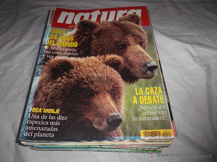 natura nº 163. los osos. la caza a debate. foca - Buy Other modern  magazines and newspapers on todocoleccion