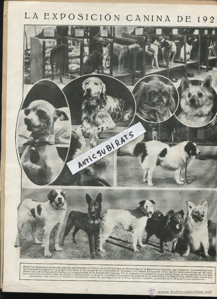 Collezionismo di Riviste e Giornali: REVISTA 1921 MANUEL GRANERO VALLS VIOLINISTA Y TORERO JOSE MARI BELAUSTE EXPOSICION CANINA PERROS