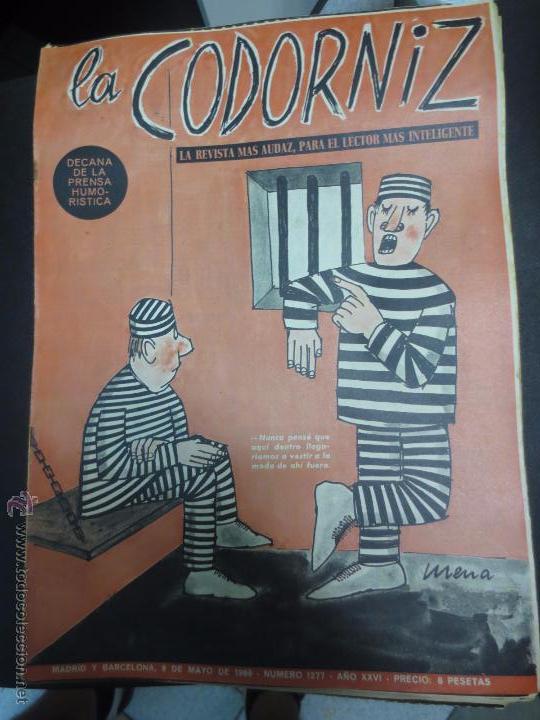 Coleccionismo de Revistas y Peri&oacute;dicos: REVISTA LA CODORNIZ   N&ordm; 1277 8 DE MAYO 1966 A&Ntilde;O 26