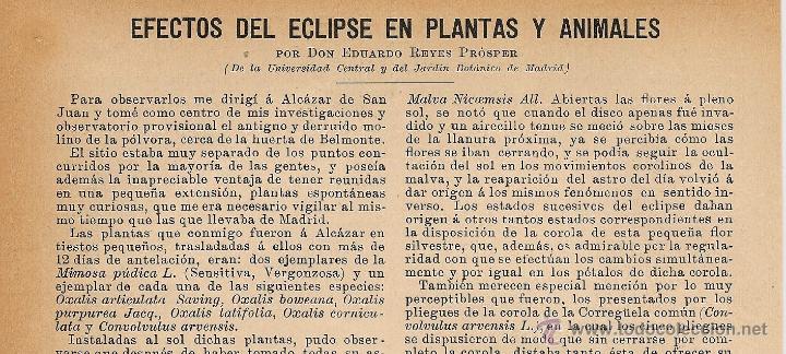 Coleccionismo de revistas y peri&oacute;dicos: * ASTRONOM&Iacute;A * Efectos del eclipse en plantas y animales / D. Eduardo Reyes Pr&oacute;sper  - 1900