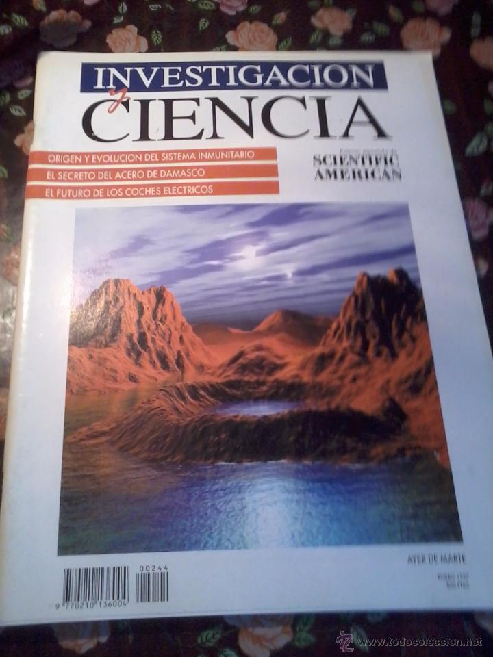 Collezionismo di Riviste e Giornali: REVISTA INVESTIGACION Y CIENCIA. SCIENTIFIC AMERICAN ENERO. 1997. B2R