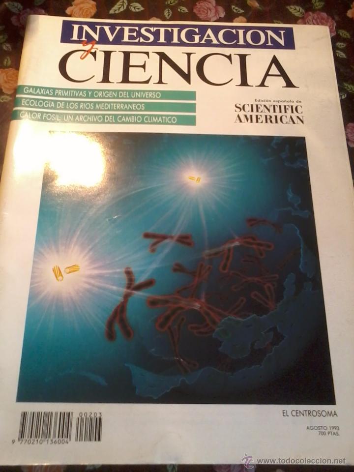 Collezionismo di Riviste e Giornali: REVISTA INVESTIGACION Y CIENCIA. SCIENTIFIC AMERICAN AGOSTO 1993. B3R