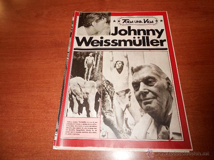 Colecionismo de Revistas e Jornais: RECORTE DE PRENSA 1981: JOHNNY WEISSM&Uuml;LLER (TARZ&Aacute;N), TODA UNA VIDA.