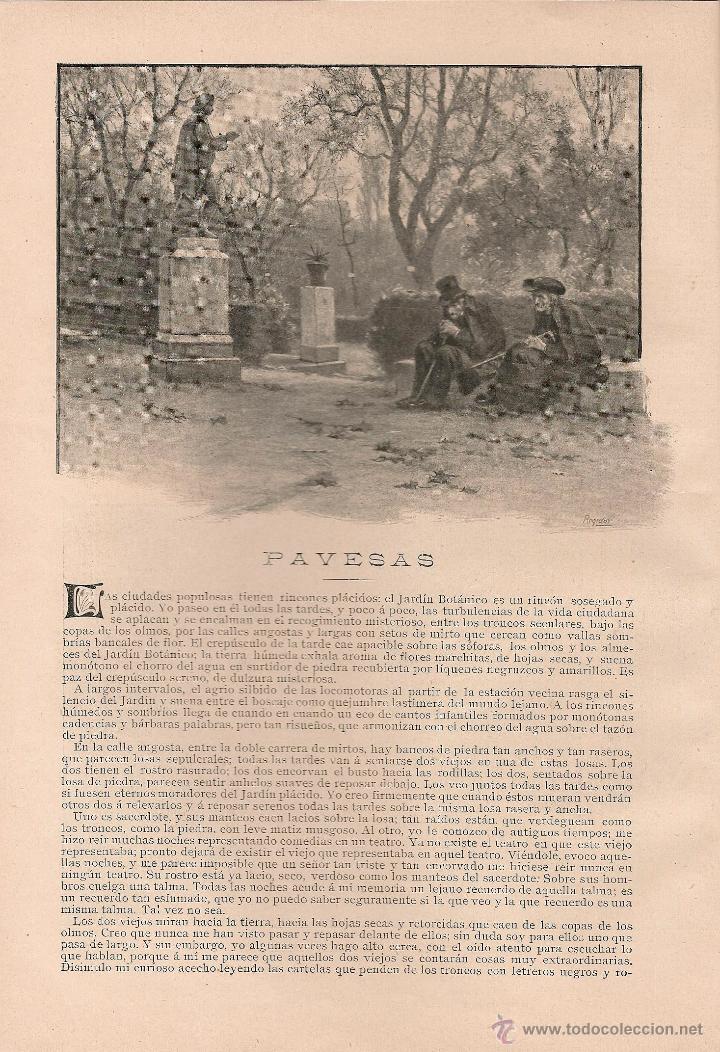 Collectionnisme de Revues et Journaux: Pavesas / cuento de Francisco Acebal - 1905