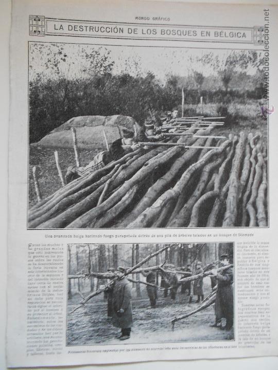 Collezionismo di Riviste e Giornali: hln- 1914- destrucci&oacute;n bosques en b&eacute;lgica, bosque dixmude, prisioneros franceses llevando le&ntilde;a