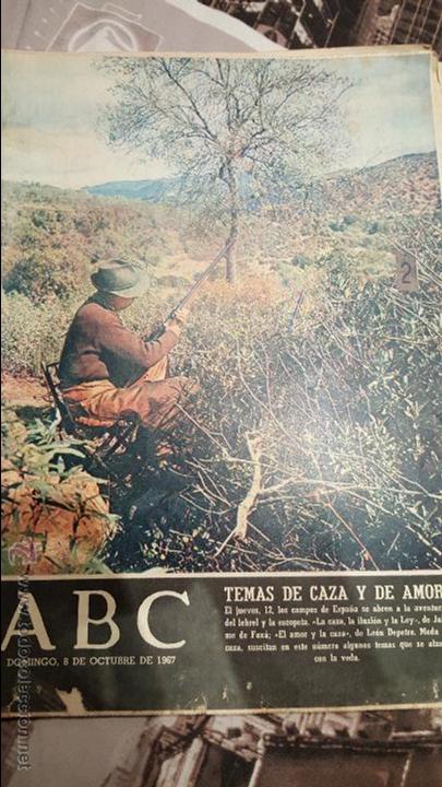 Coleccionismo de revistas y peri&oacute;dicos: ABC 8 DE OCTUBRE DE 1967, TEMAS DE CAZA Y DE AMOR- ALCA&Ntilde;IZ-