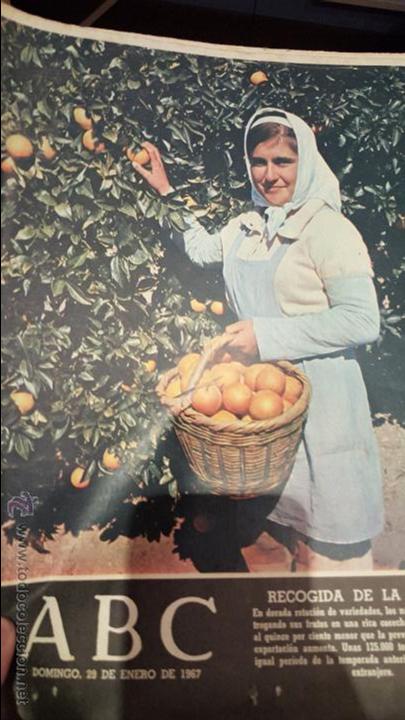 Coleccionismo de revistas y peri&oacute;dicos: ABC 29 DE ENERO DE 1967, RECOGIDA DE LA NARANJA- valle inclan-el quijote-adolf von thadden-