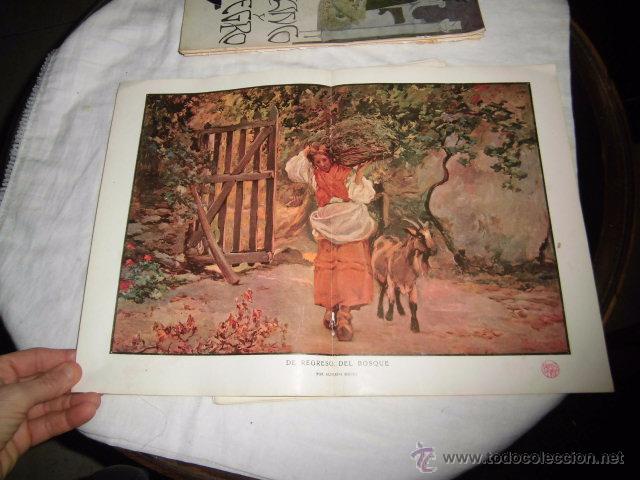 Colecionismo de Revistas e Jornais: EL REGRESO DEL BOSQUE POR ALFREDO SOUTO.HOJA DE REVISTA BLANCO Y NEGRO 1902