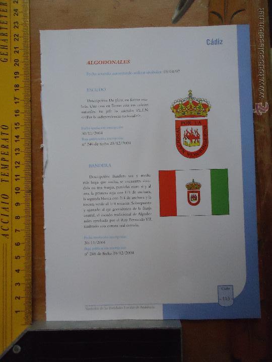 Collection Magazines and Newspapers: HOJA - CADIZ PUEBLO DE LA PROVINCIA - CADIZ - ALGODONALES