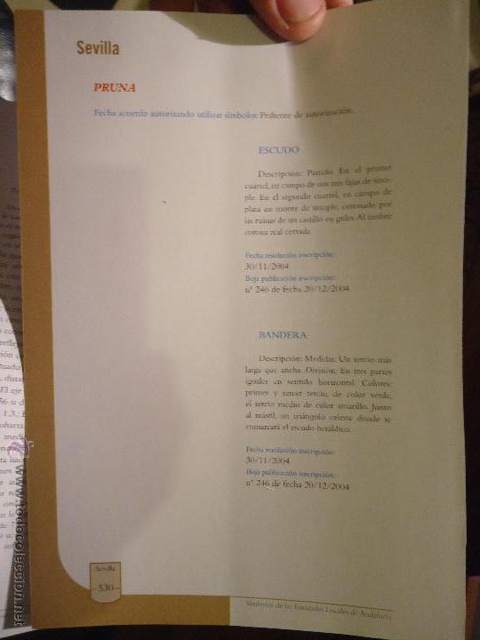 Coleccionismo de revistas y peri&oacute;dicos: HOJA - SEVILLA PUEBLO DE LA PROVINCIA - SEVILLA - PRUNA