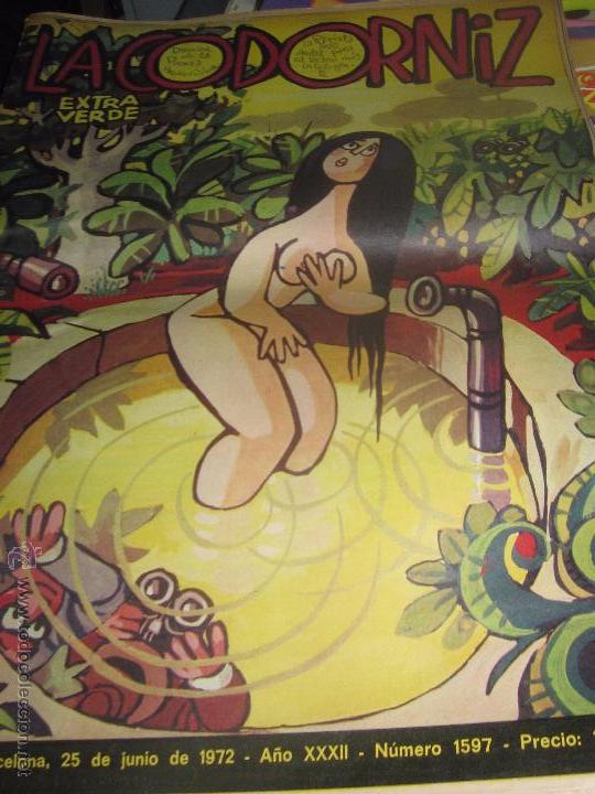 Coleccionismo de Revistas y Peri&oacute;dicos: REVISTA LA CODORNIZ   N&ordm; 1597 25 DE JUNIO DE 1972 A&Ntilde;O XXXII
