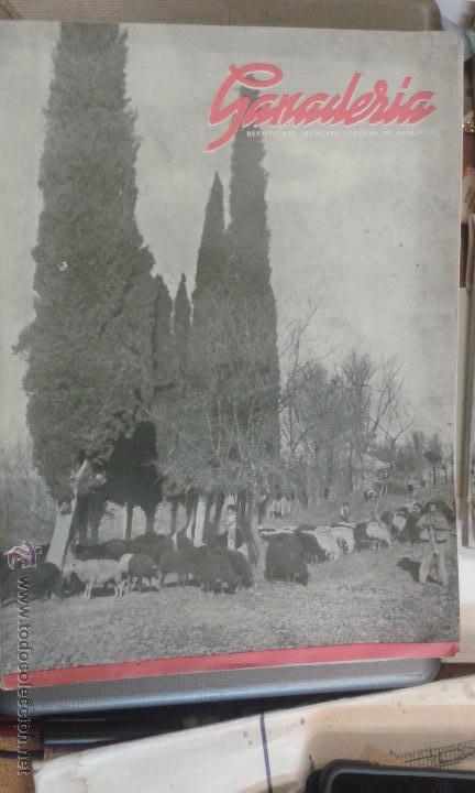 Colecionismo de Revistas e Jornais: Ganaderia. Revista sindicato Vertical. n&ordm; 44 a&ntilde;o 1947 Leche tipo botella, toro Don Tancredo, manteca