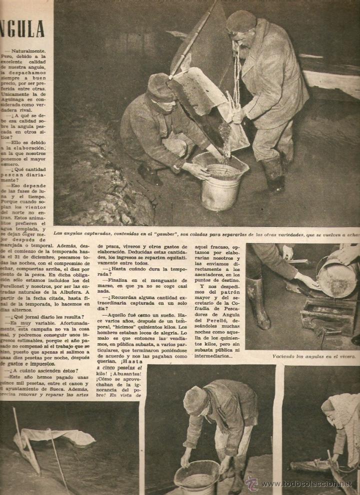 Collection Magazines and Newspapers: A&Ntilde;O 1954 EL PERELLO PESCA ANGULA MINGOTE CRHISTIAN DIOR CASA DIOR TALAVERA LA REAL ESCUELA PILOTOS