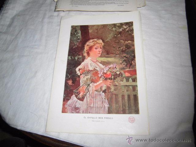 Colecionismo de Revistas e Jornais: EL CAPULLO MAS FRESCO POR EMILIO SALA HOJA DE REVISTA BLANCO Y NEGRO 1902