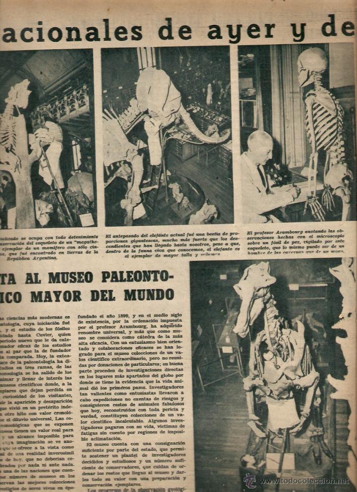 Collezionismo di Riviste e Giornali: A&Ntilde;O 1950 MODA PARIS DIOR PALEONTOLOGIA ARAMBOURG MUSEO PINTURA ERNESTO SCOTTI BOXEO ANTONIO MONZON
