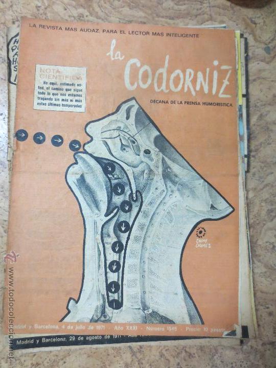 Coleccionismo de Revistas y Peri&oacute;dicos: 1546 la codorniz. barcelona madrid