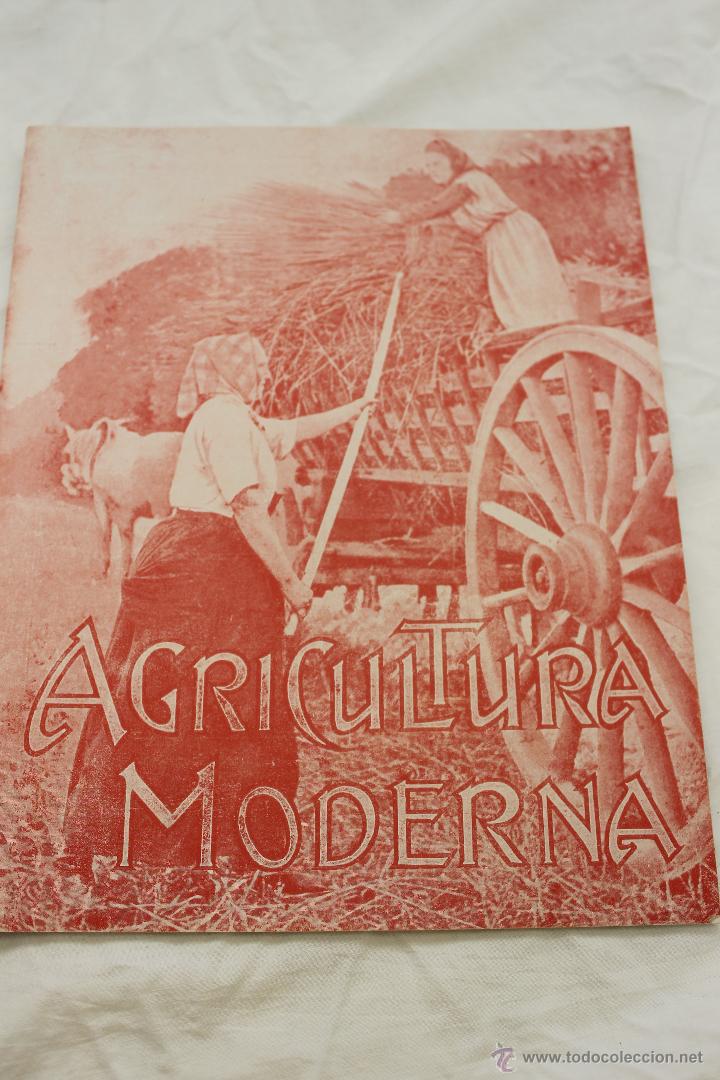 Collezionismo di Riviste e Giornali: REVISTA AGRICULTURA MODERNA 1917, N&ordm; 60, ILUSTRADA, BARCELONA