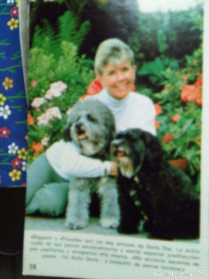 Coleccionismo de Revistas y Peri&oacute;dicos: RECORTE doris day