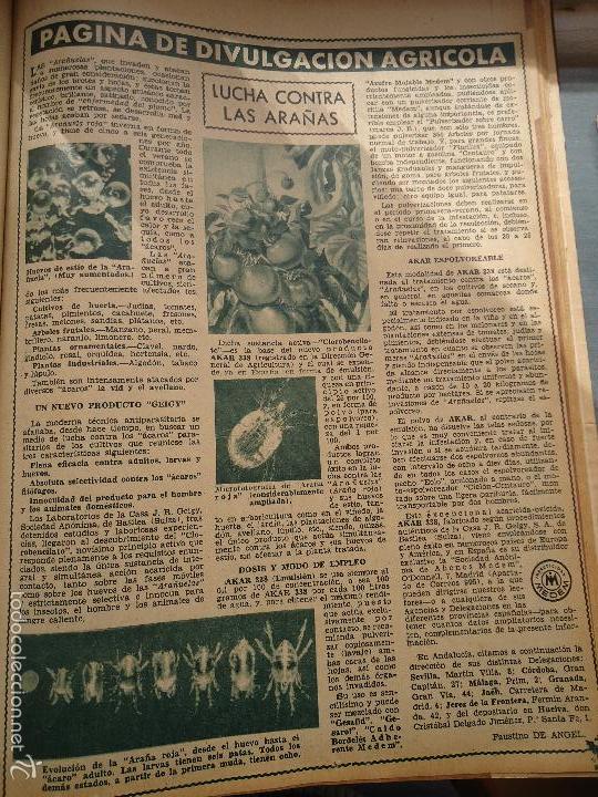 Coleccionismo de Revistas y Peri&oacute;dicos: bby 1958 hoja - divulgalgacion agricola , lucha contra las ara&ntilde;as