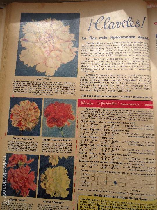 Coleccionismo de Revistas y Peri&oacute;dicos: bby 1958 hoja - flores, claveles la flor mas tipicamente espa&ntilde;ola