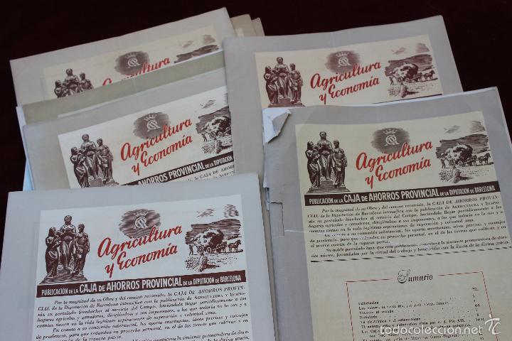 Coleccionismo de revistas y peri&oacute;dicos: LOTE 8 REVISTAS AGRICULTURA Y ECONOMIA DE LA CAJA AHORROS PROVINCIAL DE BARCELONA A&Ntilde;OS 1958...