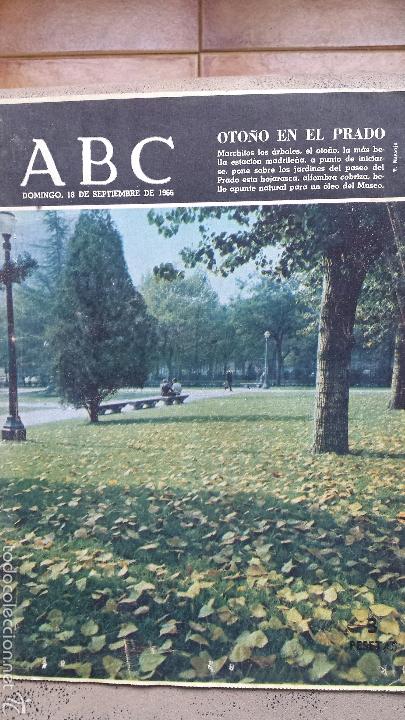Coleccionismo de revistas y peri&oacute;dicos: Abc- 18 septiembre 1966- oto&ntilde;o en el prado