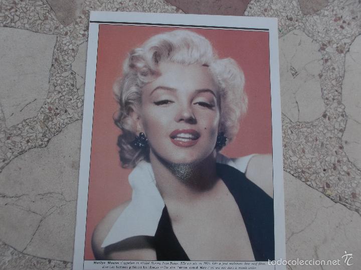 Coleccionismo de revistas y peri&oacute;dicos: foto revista desconocida ,,marilyn monroe ,24x 19, en ingles