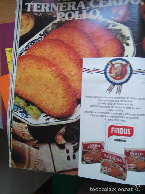 Collectionnisme de Revues et Journaux: RECORTE ANUNCIO PRECOCINADOS FINDUS