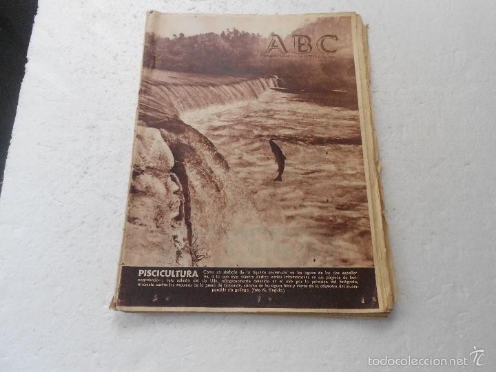 Coleccionismo de Revistas y Peri&oacute;dicos: REVISTA ABC , 4 DICIEMBRE 1954 PISCICULTURA