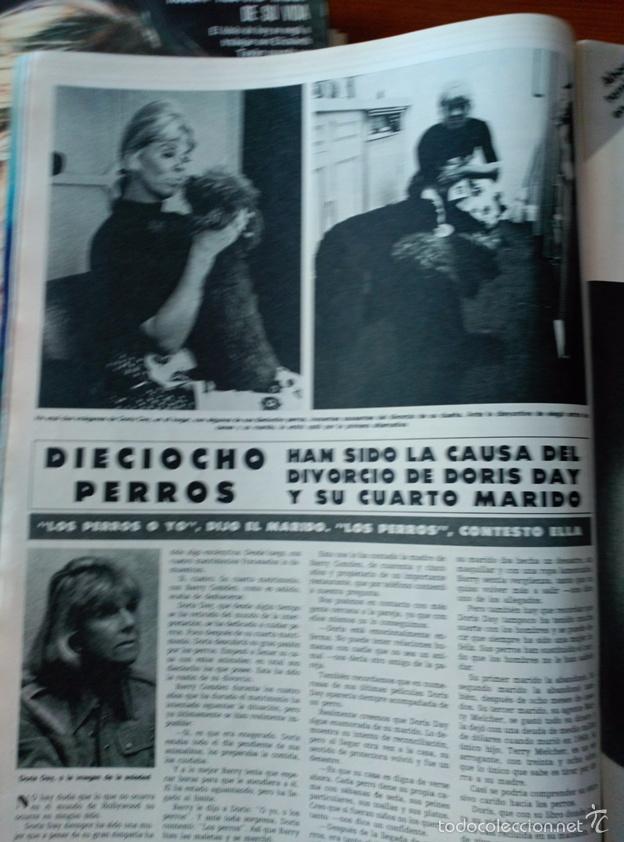 Coleccionismo de Revistas y Peri&oacute;dicos: recorte DORIS DAY Y LOS PERROS