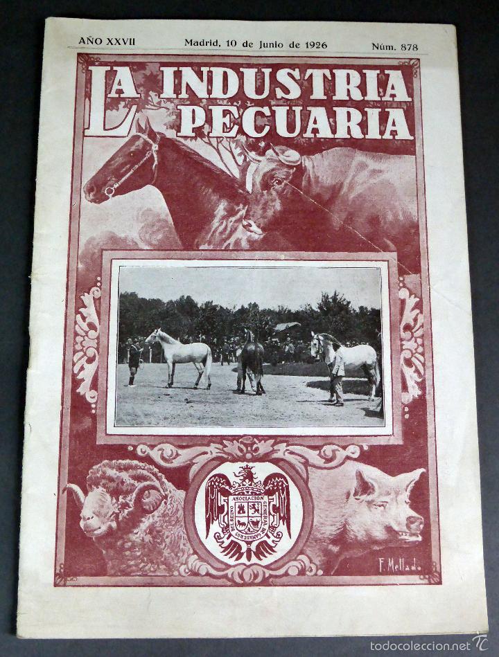 Coleccionismo de revistas y peri&oacute;dicos: Revista La Industria Pecuaria n&ordm; 878 Madrid 10 junio 1926 agricultura ganader&iacute;a
