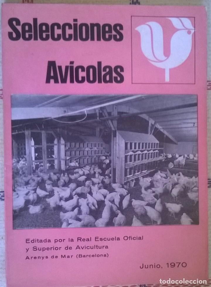 Coleccionismo de Revistas y Peri&oacute;dicos: Selecciones Avicolas Junio 1970
