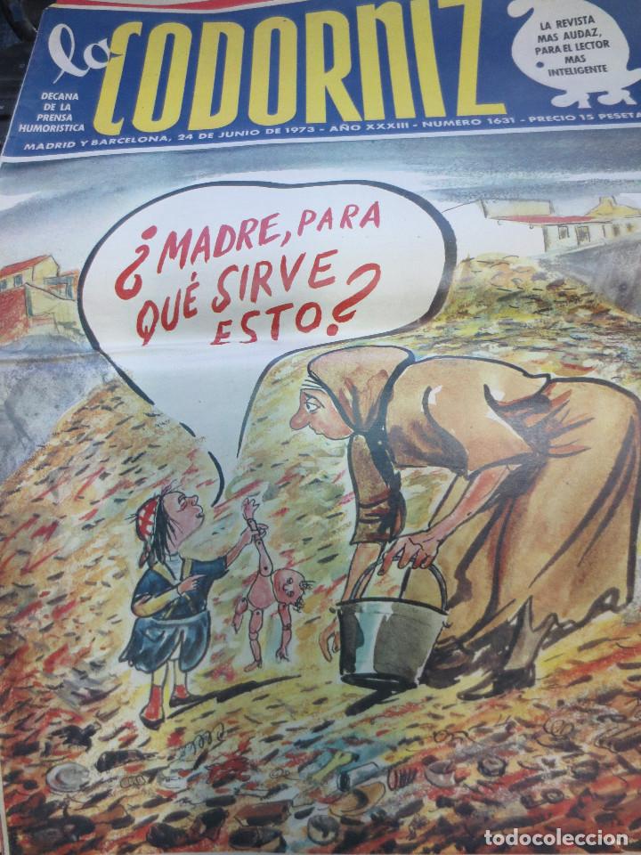 Coleccionismo de Revistas y Peri&oacute;dicos: REVISTA LA CODORNIZ N&ordm;1631  A&Ntilde;O XXXIII 24 DE JUNIO 1973