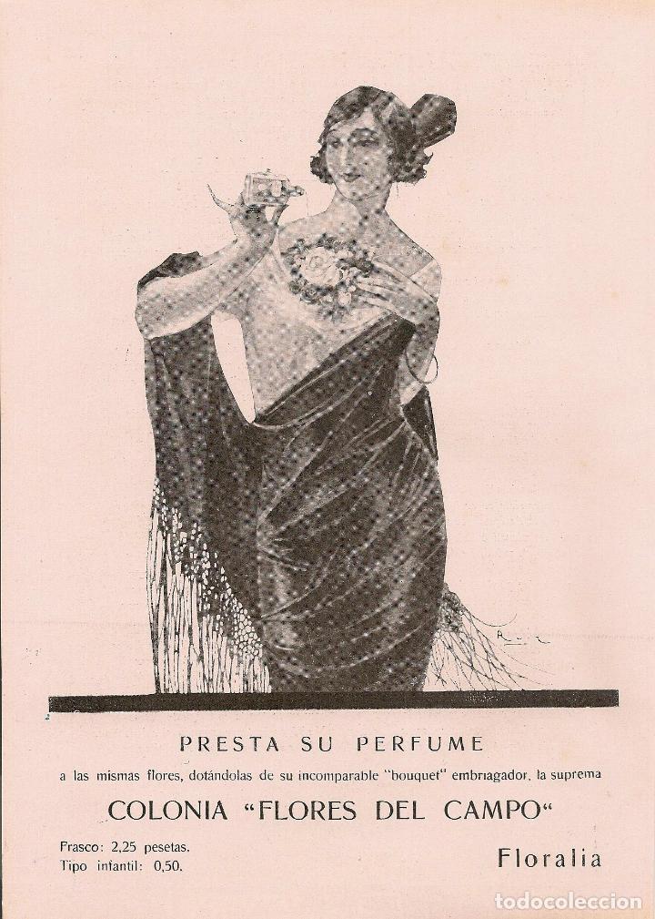 Collectionnisme de Revues et Journaux: Publicidad colonia Flores del Campo / dibujo de Ruiz   - 1925