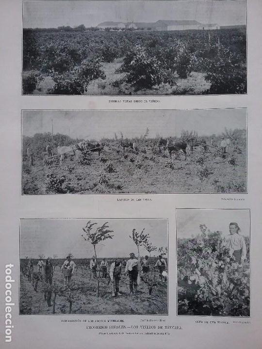 Coleccionismo de revistas y peri&oacute;dicos: LOS VI&Ntilde;EDOS DE ZALCARA.CIUDAD REAL.REVISTA A&Ntilde;O 1903.BODEGAS.CEPA GUYOT,SISTEM&Aacute; ROYAT
