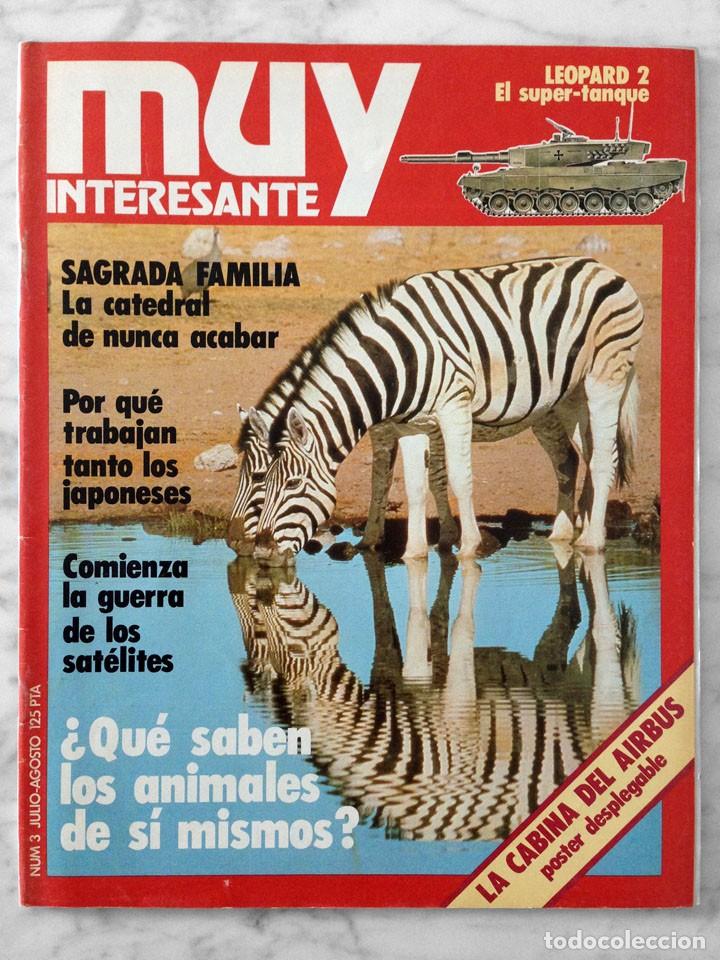 Coleccionismo de revistas y peri&oacute;dicos: MUY INTERESANTE - N&ordm; 3 - JULIO-AGOSTO 1981 - QUE SABEN LOS ANIMALES DE SI MISMOS