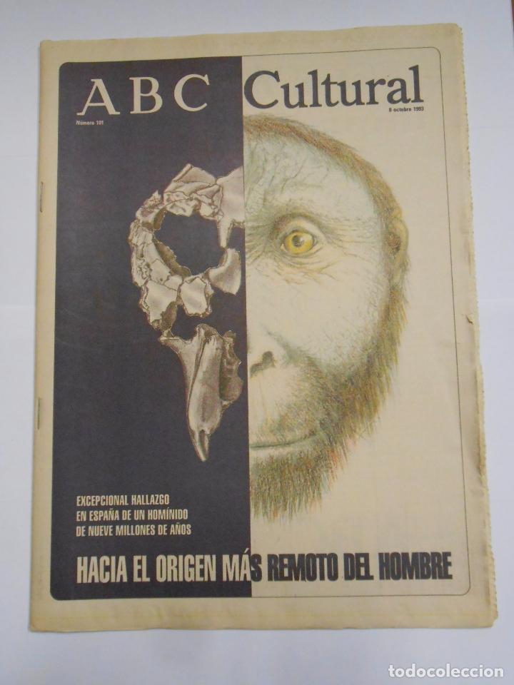 Coleccionismo de revistas y peri&oacute;dicos: ABC CULTURAL N&ordm; 101. 8 OCTUBRE 1993. HALLAZGO DE UN HOMINIDO DE HACE NUEVE MILLONES DE A&Ntilde;OS. TDKR24