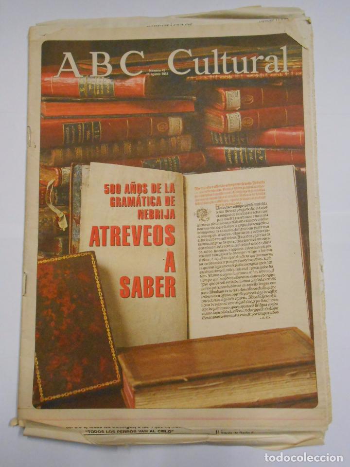 Coleccionismo de revistas y peri&oacute;dicos: ABC CULTURAL N&ordm; 41. 14 DE AGOSTO DE 1992. 500 A&Ntilde;OS DE LA GRAMATICA DE NEBRIJA. TDKR24