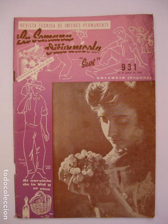 Collection Magazines and Newspapers: La Semana Vitivin&iacute;cola - N&ordm; 931 - Junio 1964 - Al Servicio de la Vid y el Vino