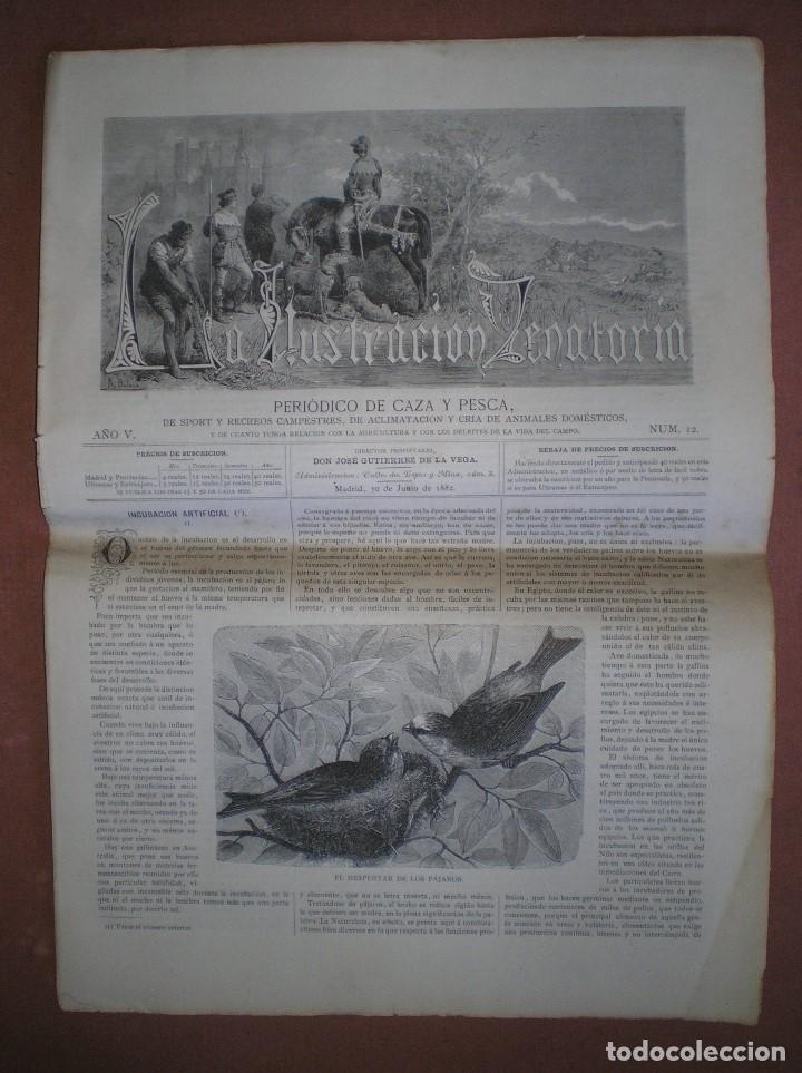 Coleccionismo de revistas y peri&oacute;dicos: LA ILUSTRACI&Oacute;N VENATORIA. Peri&oacute;dico de caza y pesca. Dir: Jos&eacute; Guti&eacute;rrez de la Vega. A&ntilde;o V n&ordm; 12.