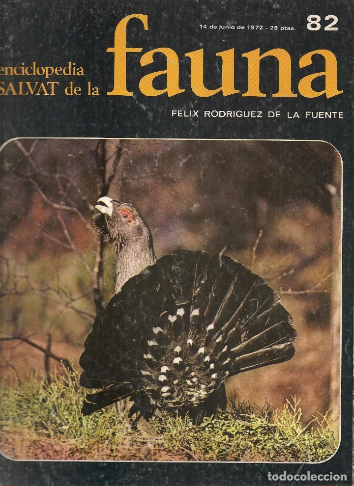 Coleccionismo de revistas y peri&oacute;dicos: ENCICLOPEDIA SALVAT DE LA FAUNA. F&Eacute;LIX RODR&Iacute;GUEZ DE LA FUENTE. FASCICULO N&ordm; 82. (P/B75)