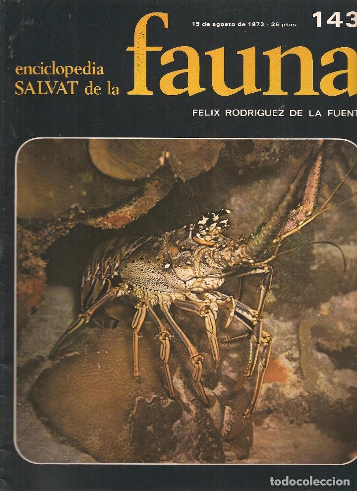 Coleccionismo de revistas y peri&oacute;dicos: ENCICLOPEDIA SALVAT DE LA FAUNA. F&Eacute;LIX RODR&Iacute;GUEZ DE LA FUENTE. FASCICULO N&ordm; 143. (P/B75)