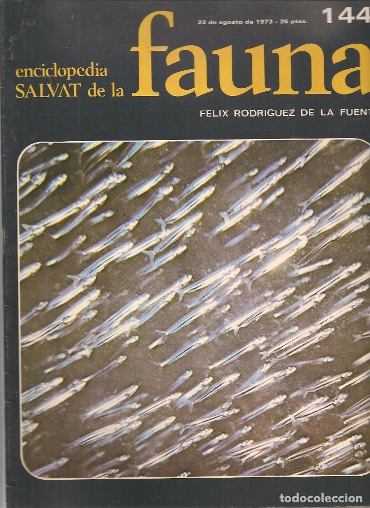 Coleccionismo de revistas y peri&oacute;dicos: ENCICLOPEDIA SALVAT DE LA FAUNA. F&Eacute;LIX RODR&Iacute;GUEZ DE LA FUENTE. FASCICULO N&ordm; 144. (P/B75)